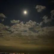 きの画像