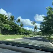 デイデイ