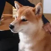 はな