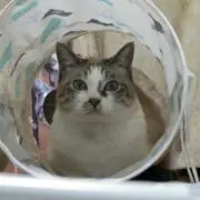 みふきあ