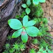 Michiey★プロフ必読★の画像