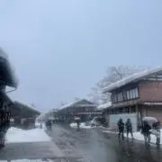 北極月間の画像