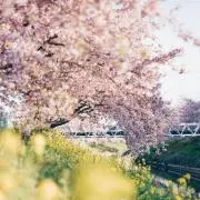 Razani.の画像