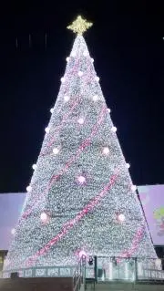 ガチャの画像