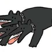 すぬの画像