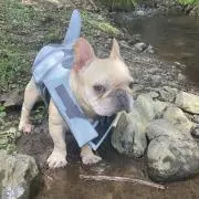 marianaの画像
