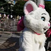 milの画像