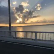 マルの画像