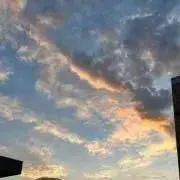 はるまきの画像