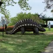 Tokoの画像