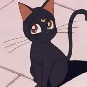 はくさんの画像