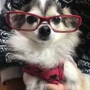ダニエルの画像