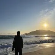ゆたの画像