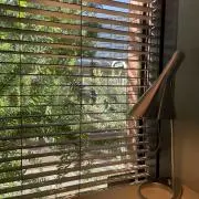はるの画像