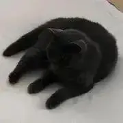くま　※プロフィールご確認下さい