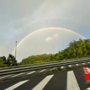 りんごの画像