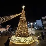 Image of ⭐︎しん⭐︎