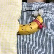 つるはなケビン
