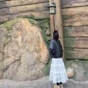複数購入お安く提供の画像