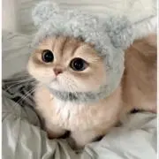 まー¨̮⃝の画像
