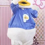 しゃけの画像