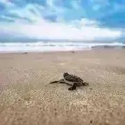 もひもひ☆プロフ必読の画像