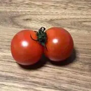 まろゆず
