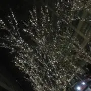 たーきー