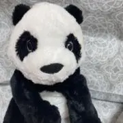 みんとの画像