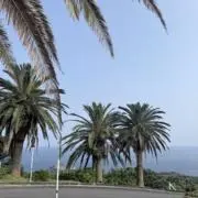 江の画像