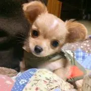 shake⭐︎の画像