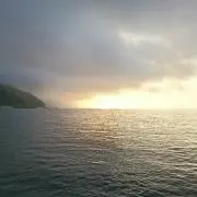 wanderinの画像
