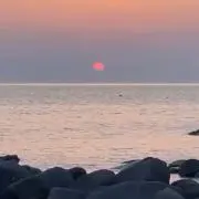 アナの画像