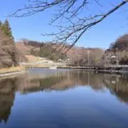 GTGの画像