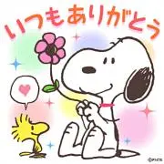 りえの画像