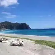 たーきの画像