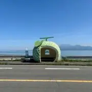 mの画像