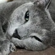 masamuの画像