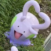 湯葉の画像
