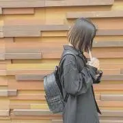 (ノ)`∨´(ヾ)の画像