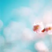 N.の画像