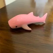 momoの画像
