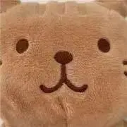 くまねこの画像