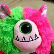 ますこ