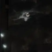 miiiの画像