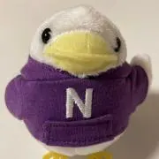 のりの画像