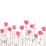 mm✳︎《おまとめ割引可》の画像