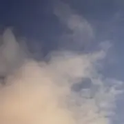 エビ【プロフの確認お願い致します】の画像