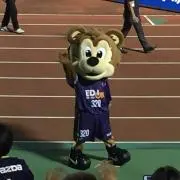 わかなでわかなでの画像