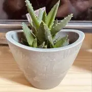 ®️eの画像